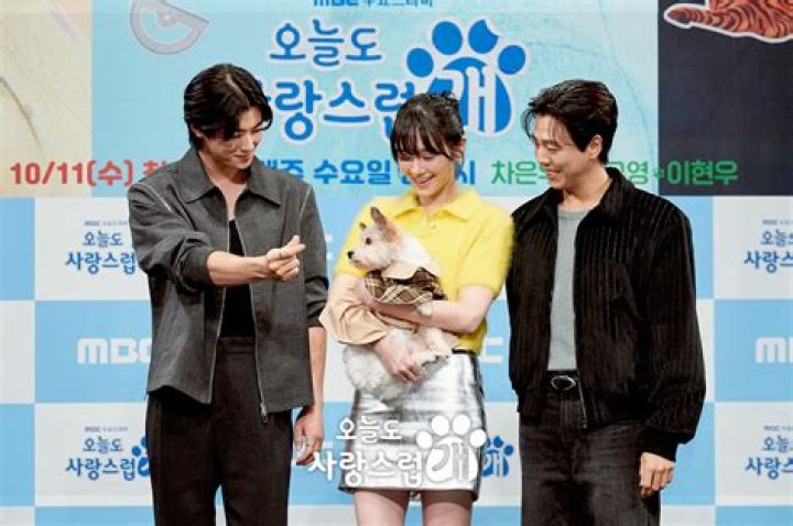 A Good Day to Be a Dog Reviews: An In-Depth Look at the Heartwarming Film