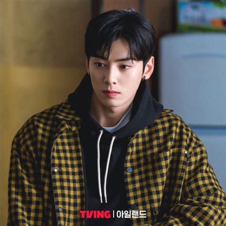 Cha Eun-woo's Younger Brother: Everything You Need to Know