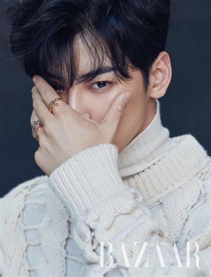 Cha Eun-woo: The Rising Star in K-Pop and Acting