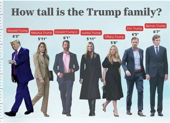 Elon Musk CelebHeights: Unveiling the Truth About His Height and Impact