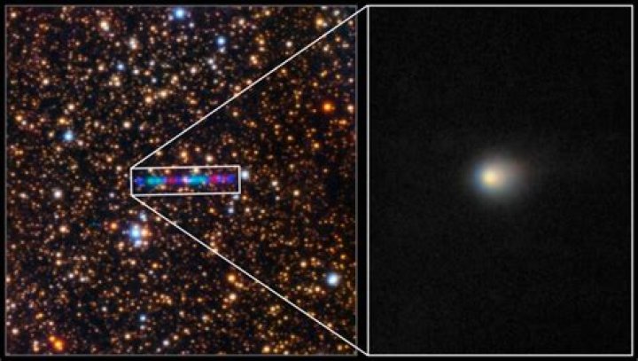 Is Gleeking Rare? Unraveling the Mystery Behind This Unusual Phenomenon