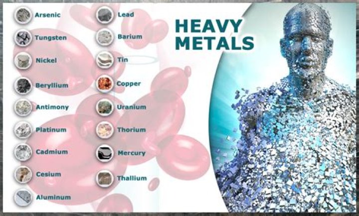 Is TRS an Effective Solution for a Safe Heavy Metal Detox?