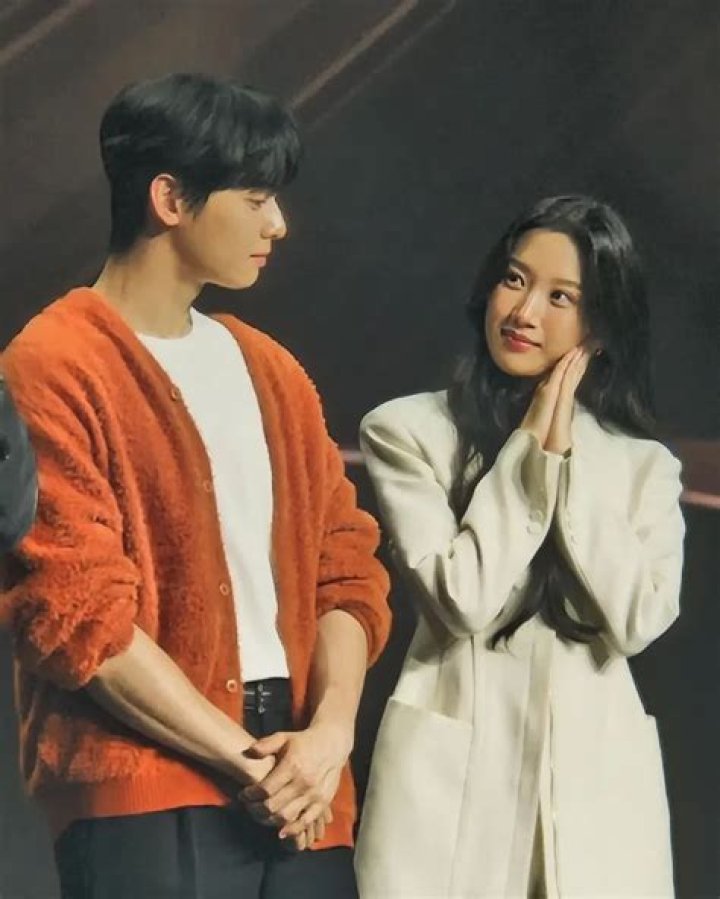 Kim Do Yeon and Cha Eun Woo Relationship: A Comprehensive Look into Their On-Screen and Off-Screen Chemistry
