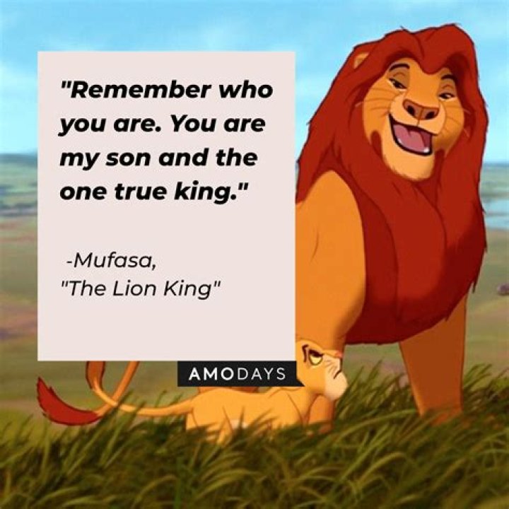 Mufasa Stars Quote: A Timeless Inspiration for Life