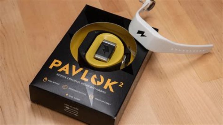 Pavlok Net Worth: A Comprehensive Guide to the Wearable Tech Entrepreneur's Financial Success