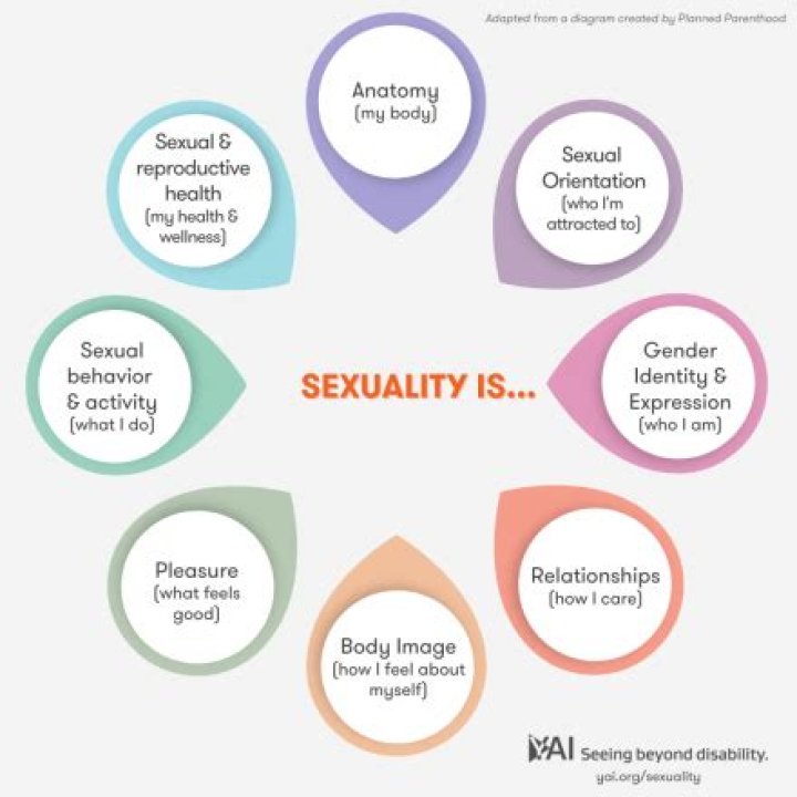Pedro Pascal's Sexuality: Understanding the Rumors and Facts