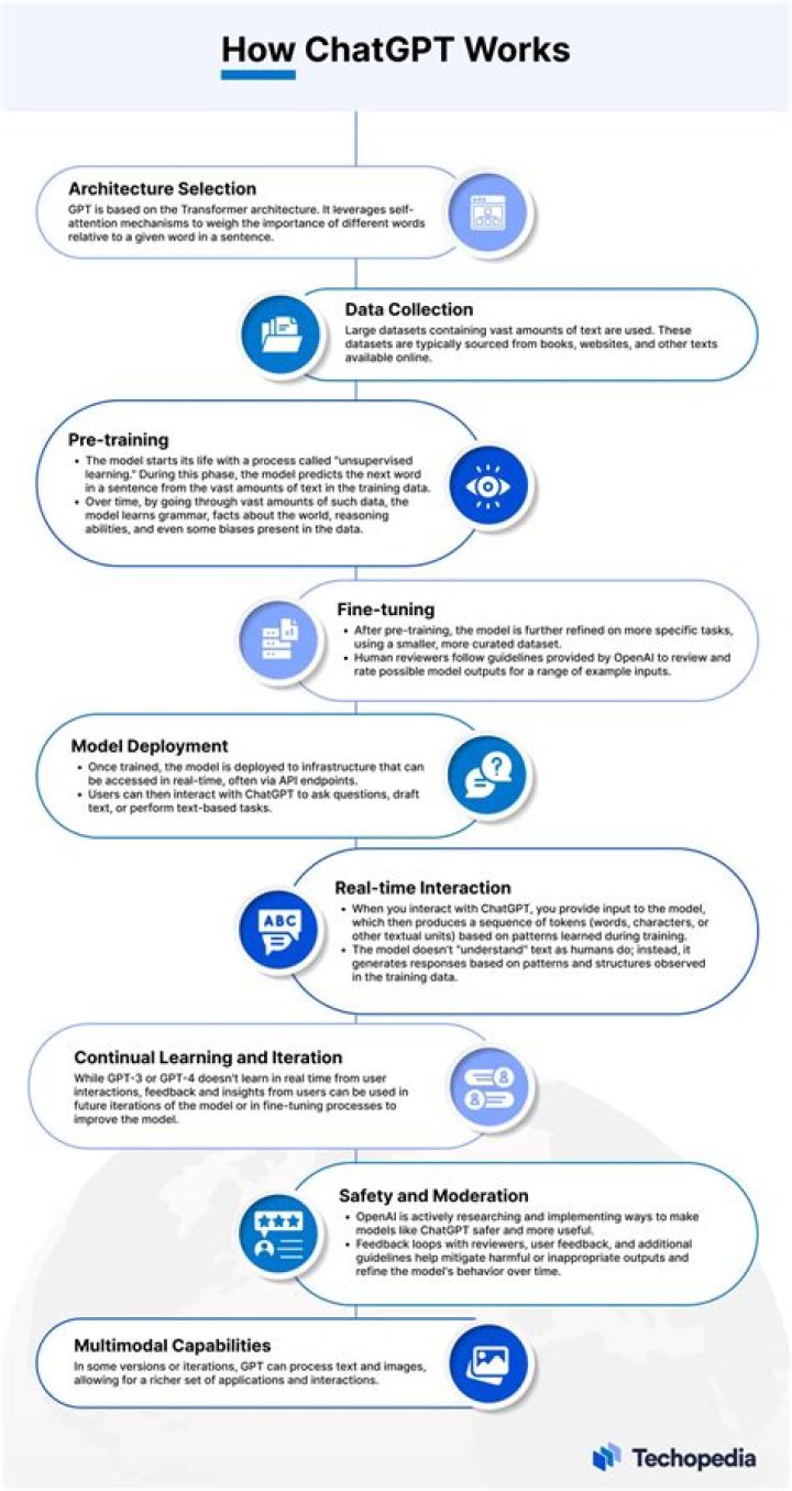 Temporary Replacement Pt 2: Comprehensive Guide for Businesses and Individuals