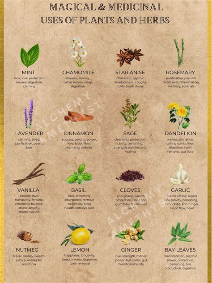 Understanding TRS Ingredients: A Comprehensive Guide to Their Uses and Benefits