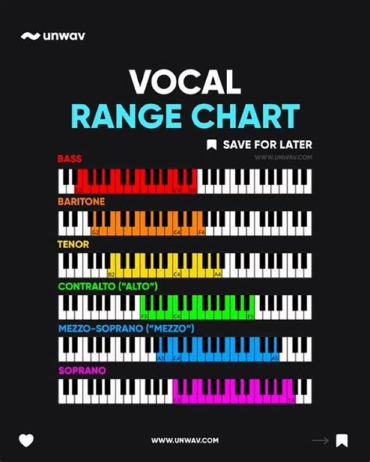 What Voice Is LeAnn Rimes On: A Comprehensive Guide to Her Vocal Range and Style
