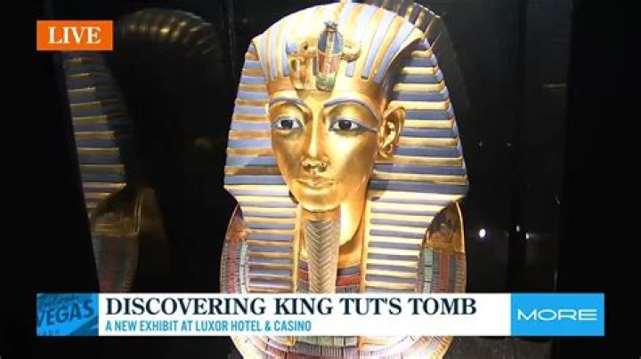 Where is Turkey Tom From? Discovering the Origins of a Beloved Figure